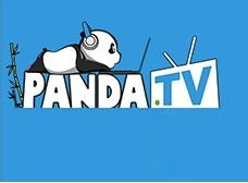 熊猫TV广告设计与代理 品牌传播与流量变现的创新实践