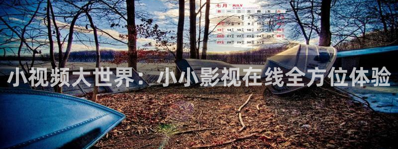 橘子视频苹果版：小视频大世界：小小影视在线全方位体验