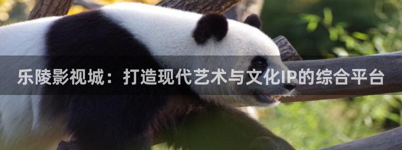 橘子碰视频