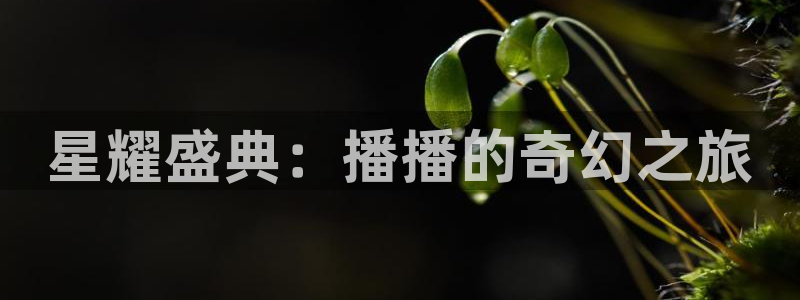 橘子影院免费观看电视剧大全