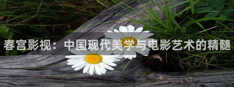 橘子影视ios：春宫影视：中国现代美学与电影艺术的精髓